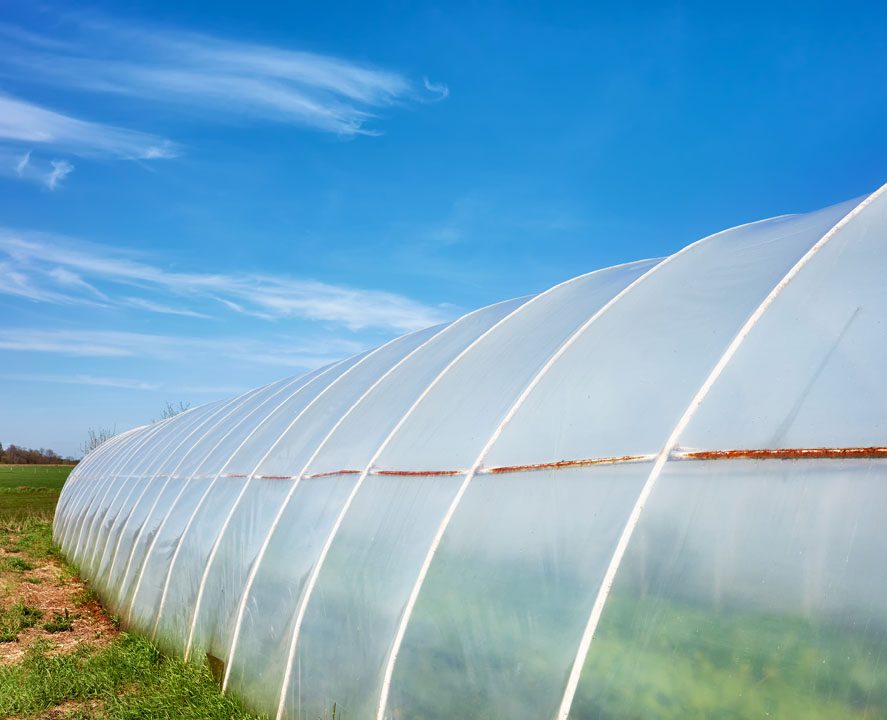 Grain bags vs. grain bins